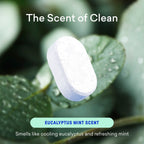 1 Year of Bathroom Cleaner