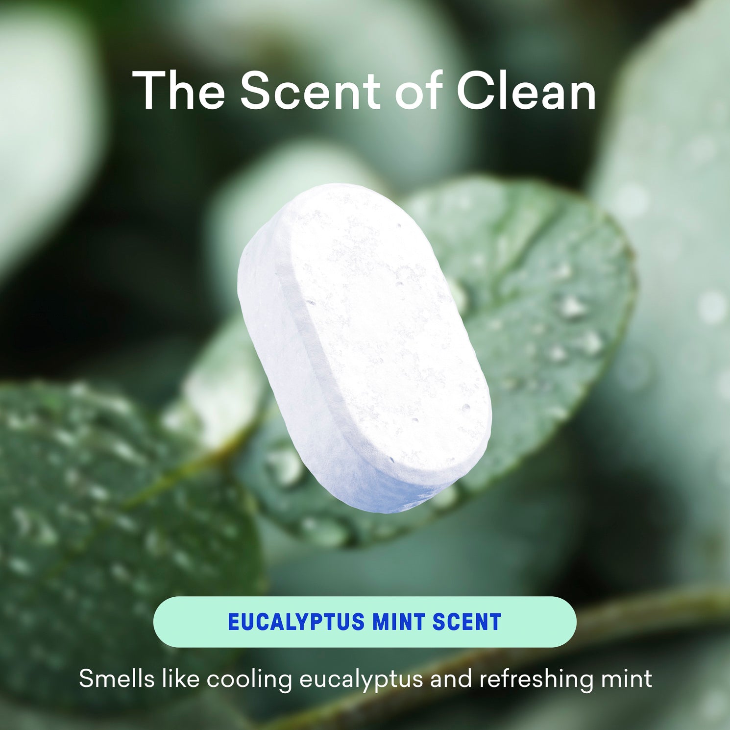 1 Year of Bathroom Cleaner