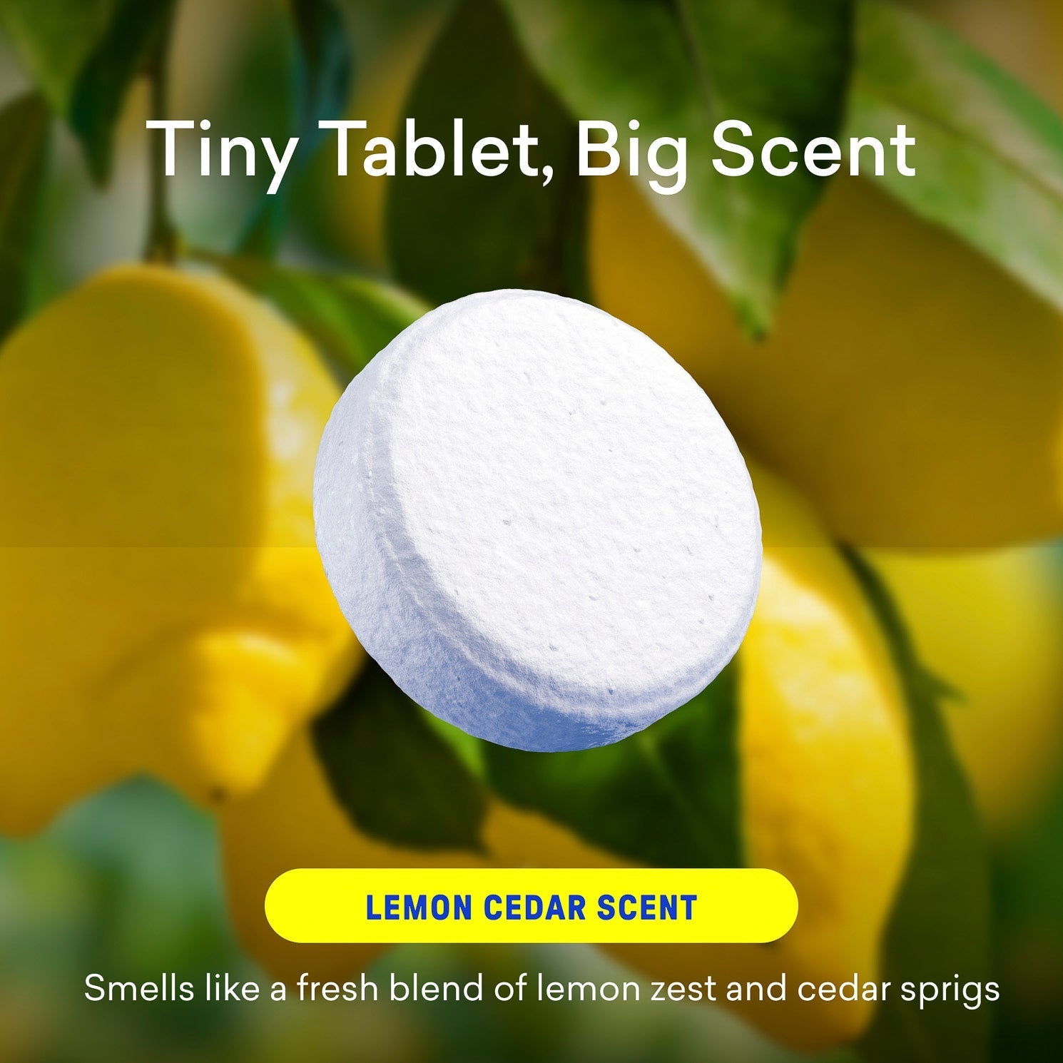 Toilet Bowl Cleaner Starter Set